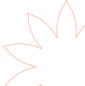 bottom star